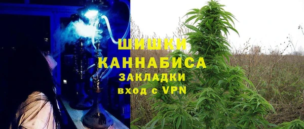 марки nbome Вяземский