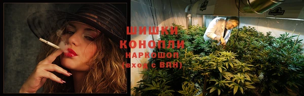 дживик Вязники