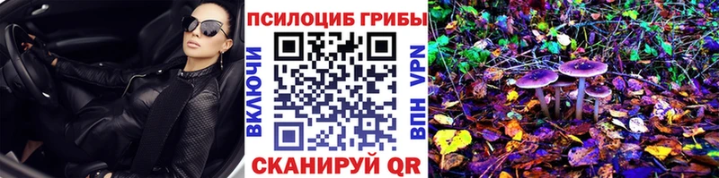 Купить  Карасук  Псилоцибиновые грибы Psilocybine cubensis 